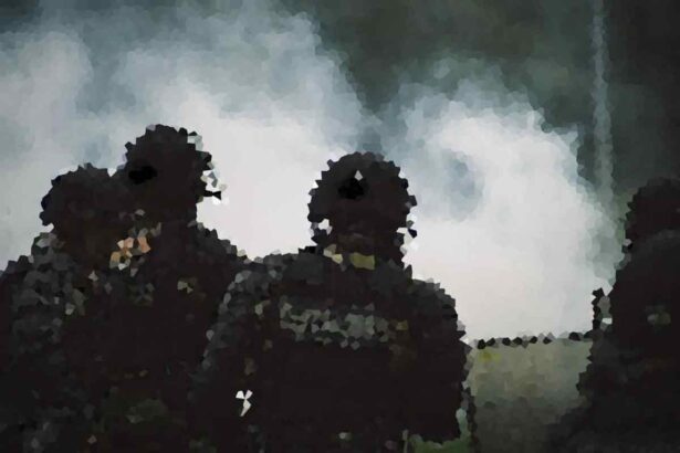 pp43 1