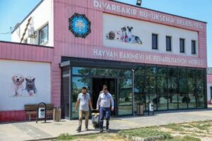 hayvan bakim