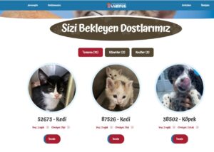 WhatsApp Gorsel 2024 10 04 saat 11.56.43 e0e52fe2