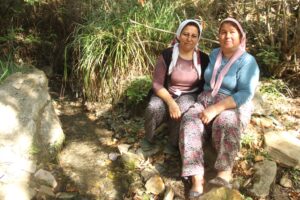 deştin bajar haber