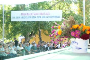 festival deştin bajar haber