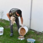 sevimli patiler