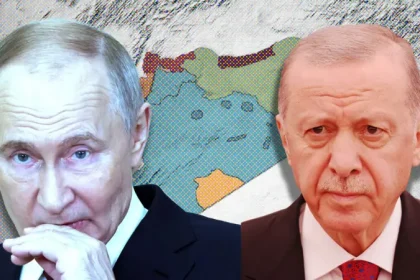 16bde440 b286 11ef aff0 072ce821b6ab.jpg