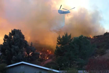 c6f58230 d0d3 11ef 9178 912a3fe04385.jpg