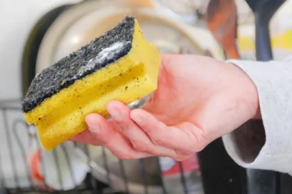 8fea8b60 fff8 11ef b50e 9d086302645f.jpg