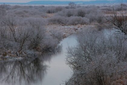 ekoloji orgutleri insanligin ve doganin ihtiyaci baristir
