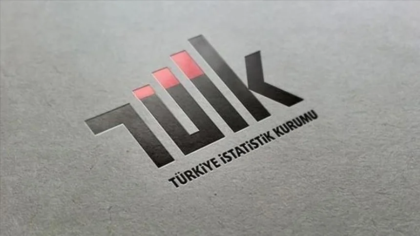 tuik 3